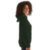 Unisex Heavy Blend Hoodie | Turtle Forrest Green